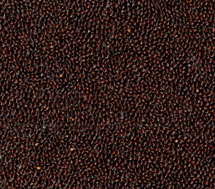 Black Foxtail Millet